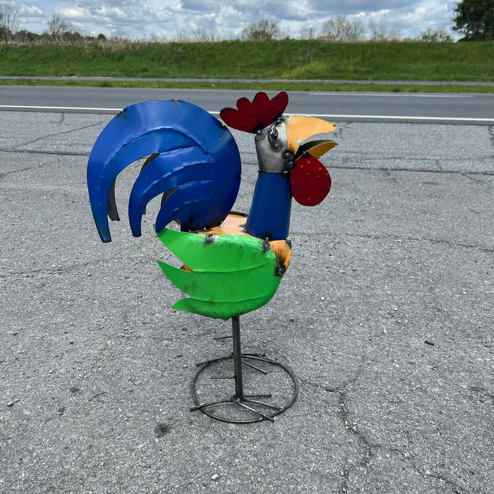 24" Rooster - 30