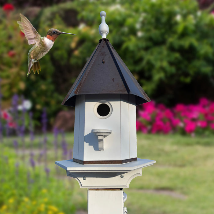 Bird House - White Sleeve 8'
