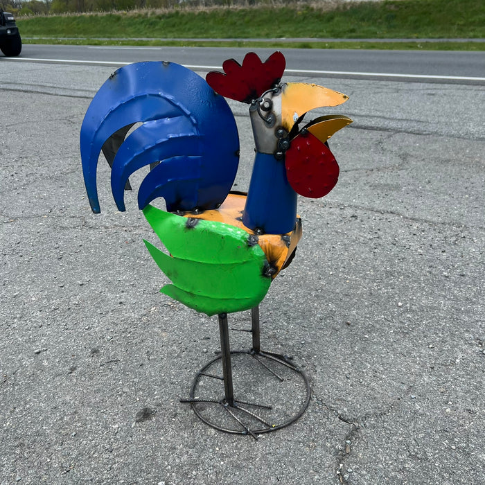 24" Rooster - 30