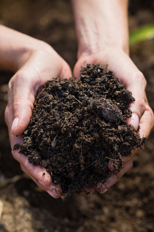 Order the best Topsoil online. This is the best nutritious soil for plants. 